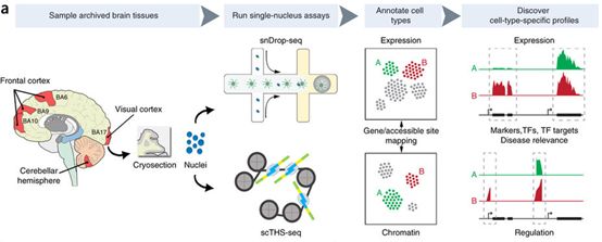 EBET易博·(中国集团)首页官网