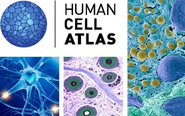 EBET易博·(中国集团)首页官网