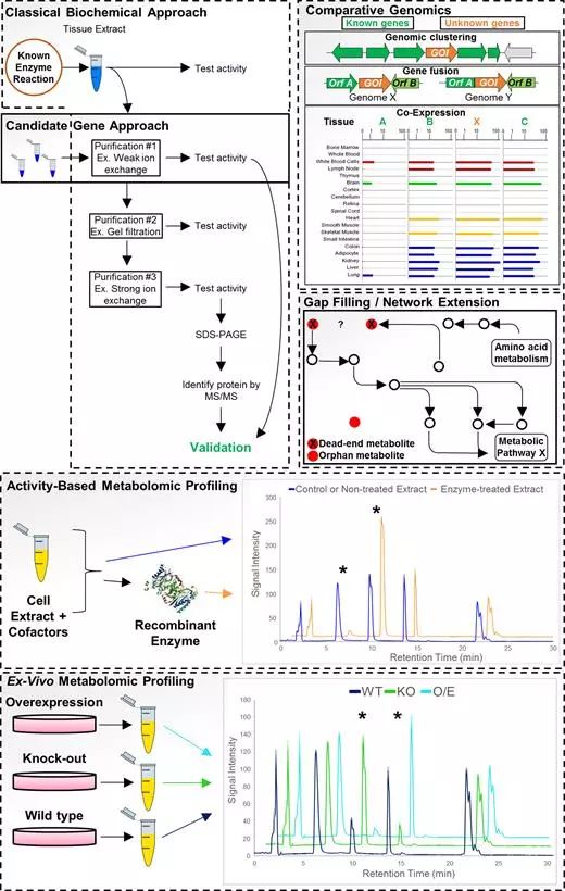 EBET易博·(中国集团)首页官网