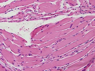 EBET易博·(中国集团)首页官网