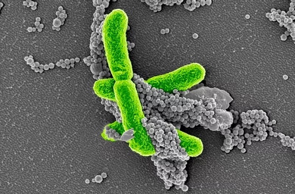 EBET易博·(中国集团)首页官网