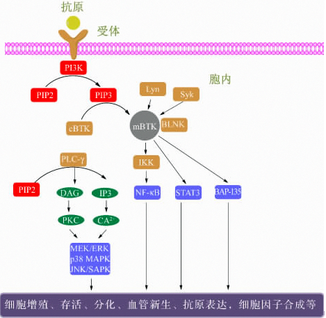 EBET易博·(中国集团)首页官网