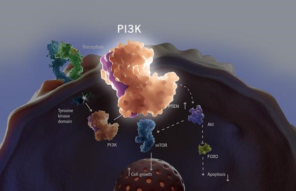 EBET易博·(中国集团)首页官网