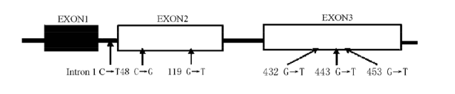 EBET易博·(中国集团)首页官网