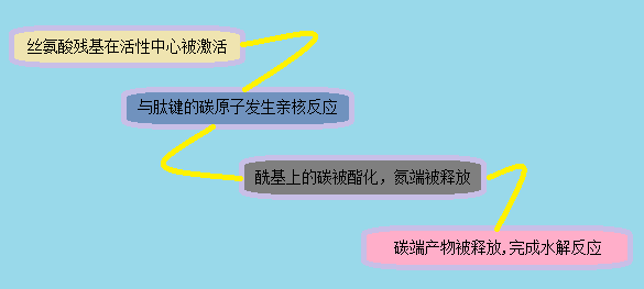 EBET易博·(中国集团)首页官网