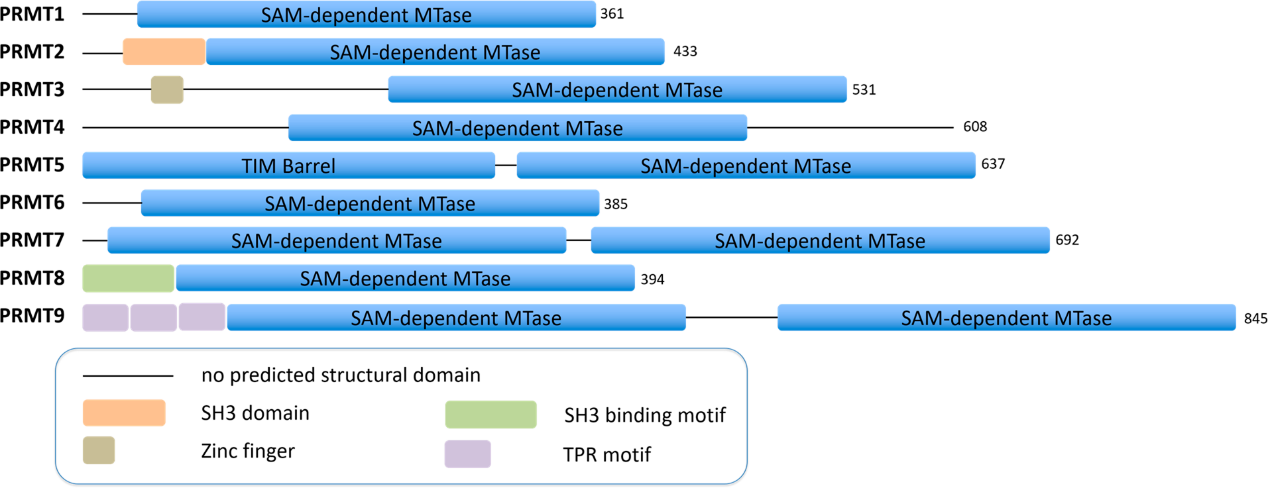 EBET易博·(中国集团)首页官网
