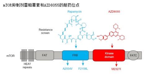 EBET易博·(中国集团)首页官网