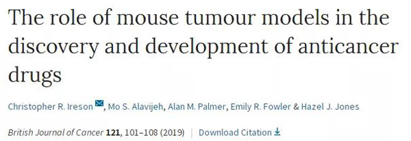 临床前小鼠模子怎样？