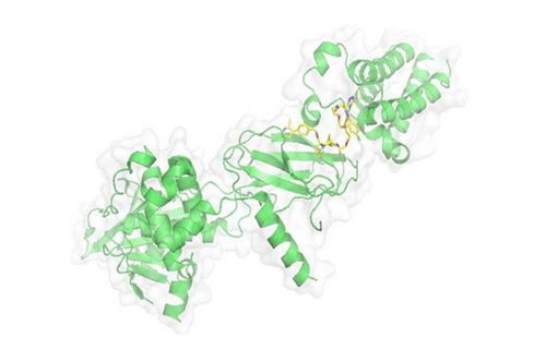 PROTAC手艺，马兴泉
