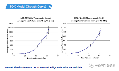 EBET易博PDX药效模子
