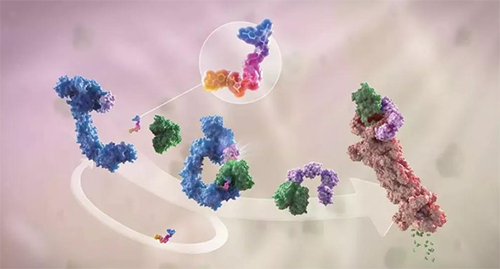 LYTAC出生，，，与PROTAC并肩作战针对不可成药的靶点