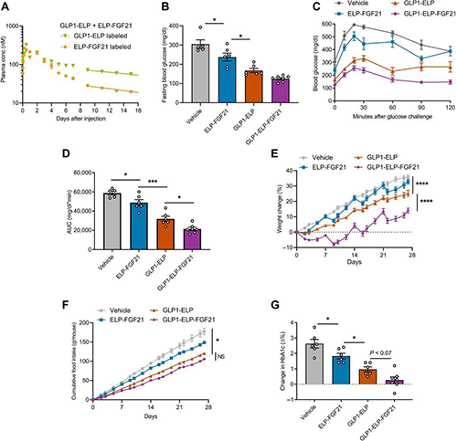 GLP1-ELP-FGF21双激动剂融合卵白对血糖和体重具有有用且持续的作用 EBET易博