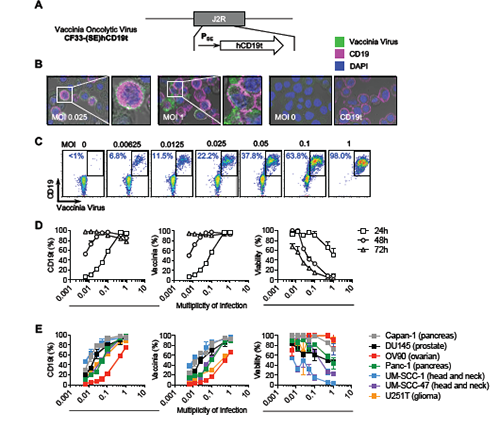 EBET易博·(中国集团)首页官网