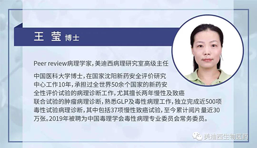 EBET易博病理研究部高级主任王莹博士