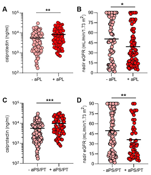 aPL抗体、NET释放和肾功效