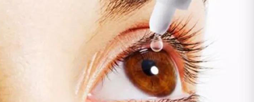 EBET易博毒理研究