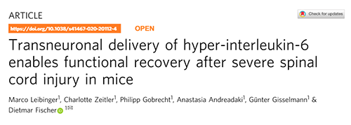 Nature：：：还瘫痪患者一个自由身的日子不远了