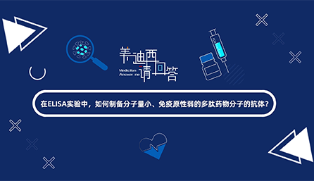 在ELISA实验，，怎样制备分子量小、、免疫原性弱的多肽药物分子的抗体？？？