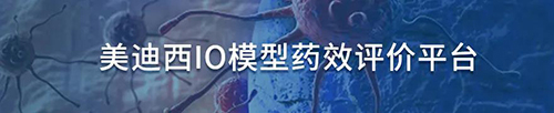 EBET易博IO模子药效评价平台.jpg