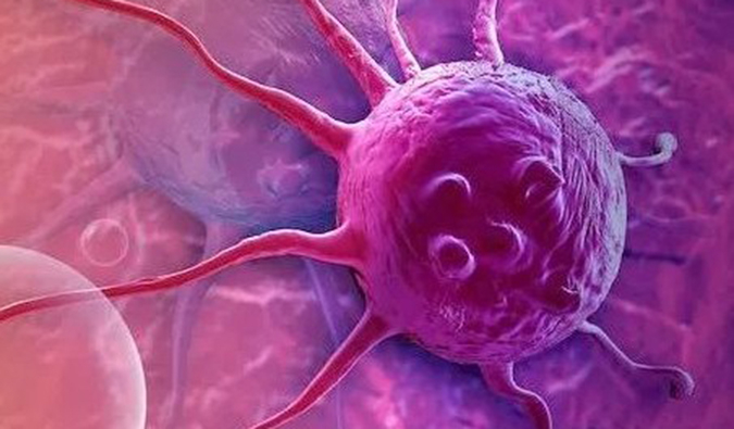 EBET易博助力中国原研高选择性EP4受体拮抗剂YY001获批临床