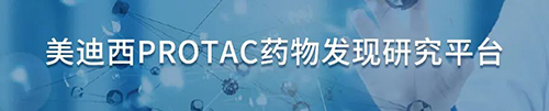 EBET易博PROTAC药物发明研究平台.png