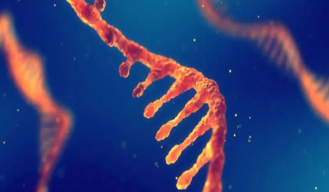 赋能核酸药物疗法，迎接新药研发第三次浪潮