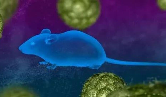 EBET易博药效服务赋能First-in-Class泛素化抑制剂研发