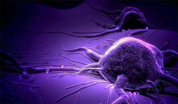 EBET易博助力轩竹生物研发的完全敲除岩藻糖的双抗ADC药物KM501获批临床