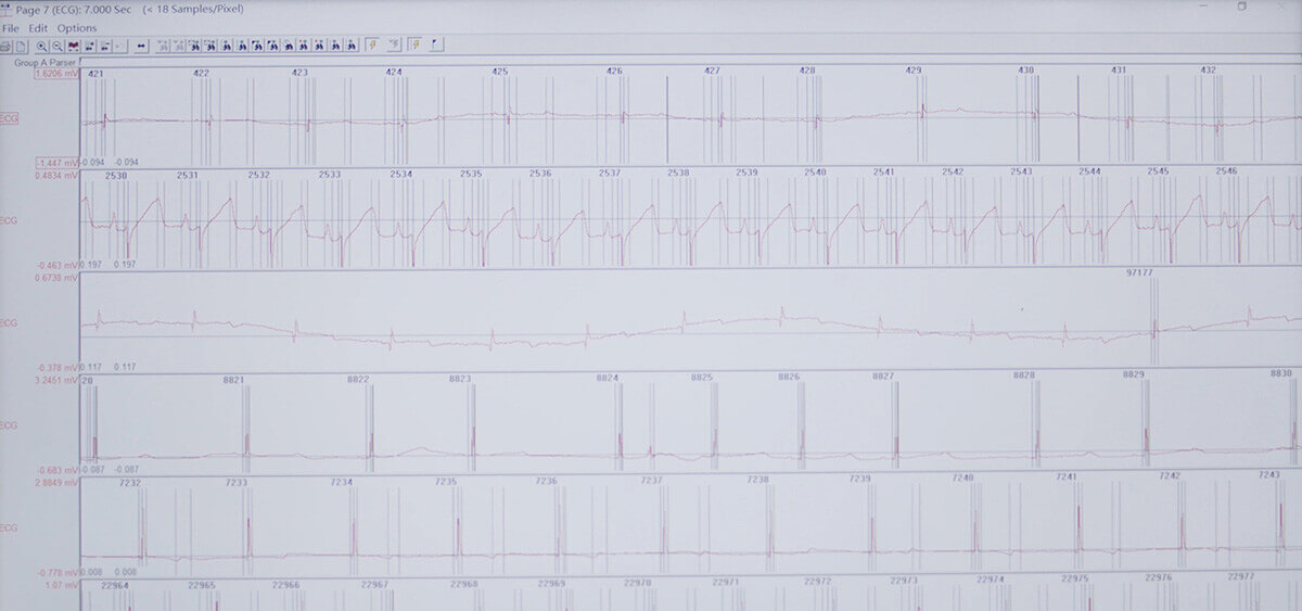 EBET易博 SEND 数据转换平台