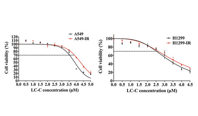 放射疗法用作肺癌的主要治疗要领，，，本研究中建设抗电离辐射肺癌细胞系的放射治疗通过EBET易博举行