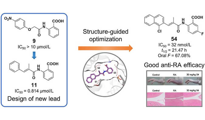 设计合成一系列DHODH抑制剂作为潜在的类风湿性枢纽炎治疗药物，，，本研究中PK实验通过EBET易博举行