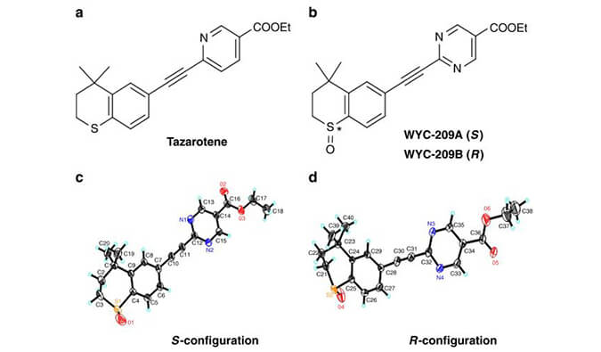 WYC-209可抑制恶性小鼠玄色素瘤肿瘤再生细胞增殖，，，本研究中SPR通过EBET易博使用Biacore 8K举行