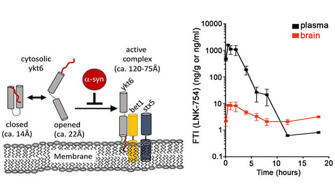 法尼基转移酶抑制剂LNK-754单次口服后即可快速穿过血脑屏障，，，本研究中PK剖析通过EBET易博举行