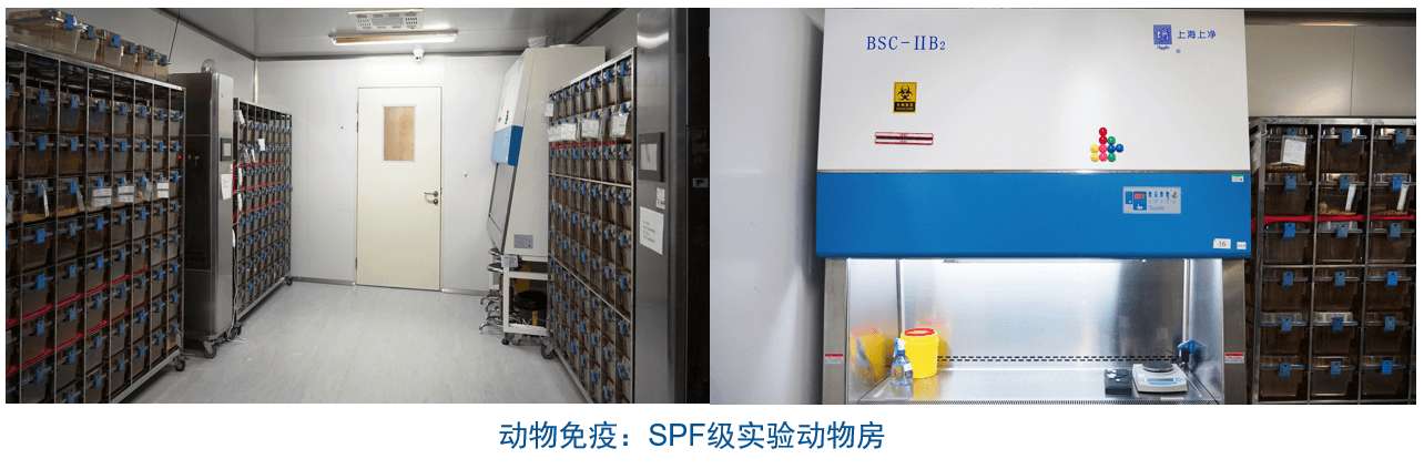 EBET易博杂交瘤手艺平台装备-动物免疫SPF级实验动物房