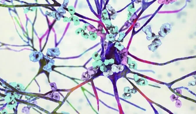 EBET易博镇痛药效评价模子