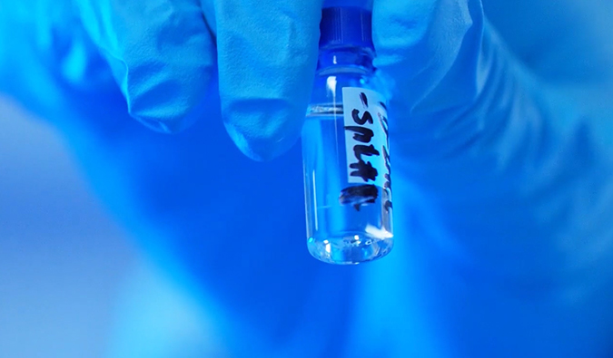 GLP-1“竞速赛”何以夺魁？？