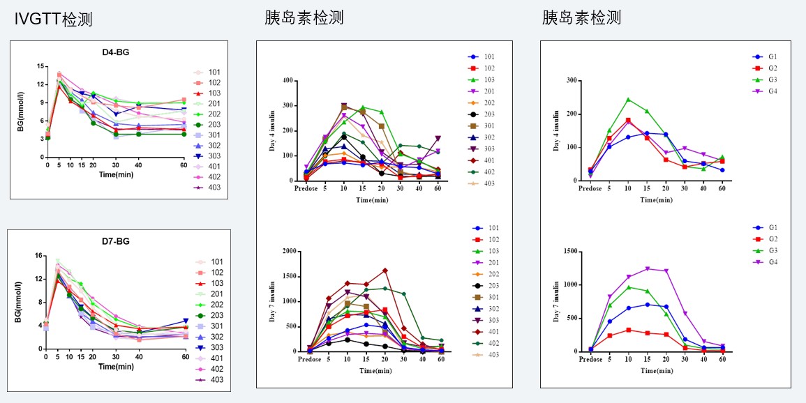 案例4：：：食蟹猴IVGTT和胰岛素检测实验.jpg