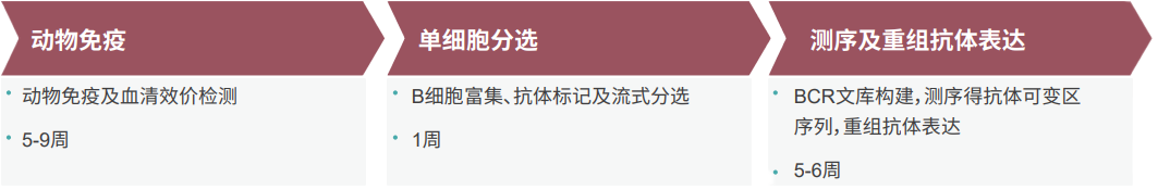 EBET易博单B细胞抗体发明平台