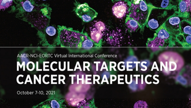 通过联合治疗提高免疫疗法疗效，，，本研究中临床前体内药效研究通过EBET易博举行