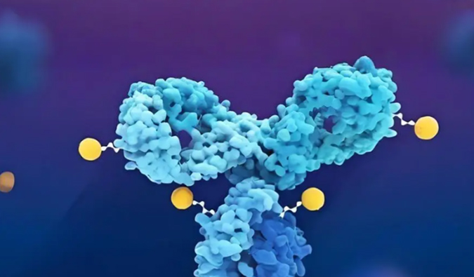 深度剖析：：：ADC药物生物剖析的考量因素
