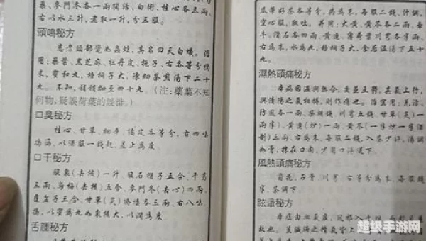 药王神篇
