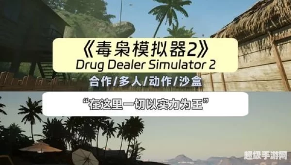 联机单机游戏