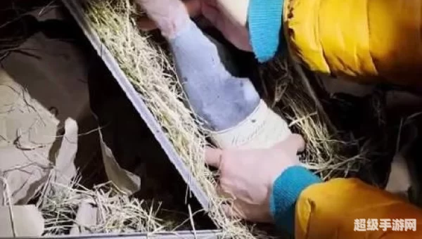 废墟寻宝