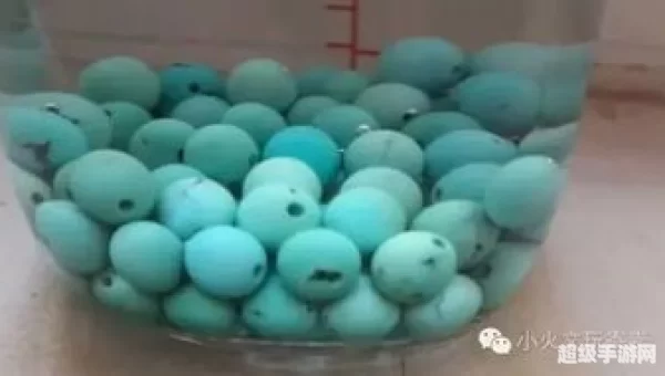水为什么不能掉在盘上