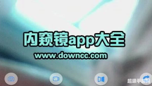 内窥镜软件